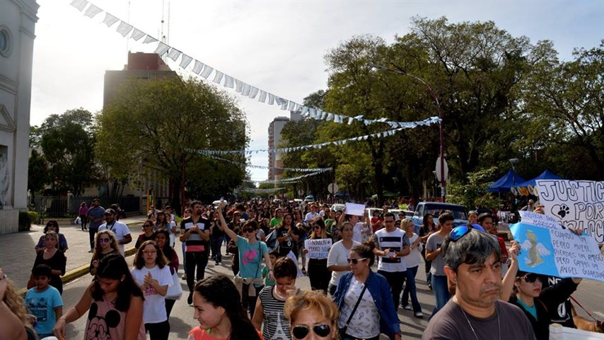 Una ruidosa multitud rodeó la plaza 25 de Mayo.