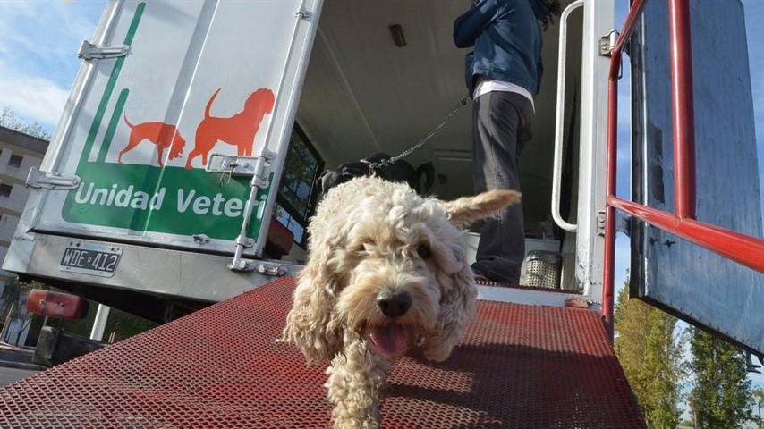 Los interesados podrán acudir a las 10 veterinarias que ofrecieron sus servicios. 