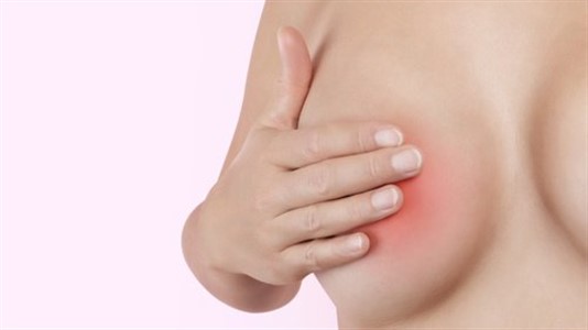 La técnica utilizada y mundialmente aceptada es la mamografía, que consiste en una radiografía de las mamas, capaz de detectar lesiones en estadios muy incipientes de la enfermedad.