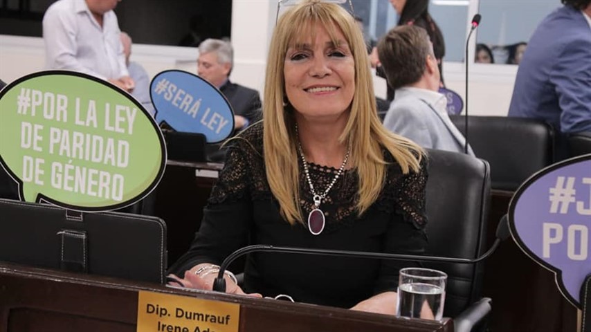 Dumrauf es actualmente la única autora del proyecto que sigue siendo diputada provincial.