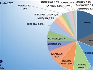 Los porcentajes de deuda que acumulan las distintas distribuidoras del país con Cammesa.