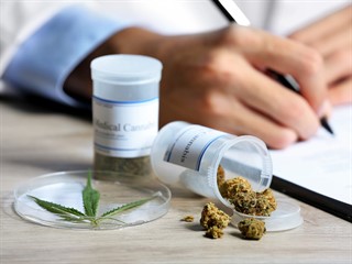 La ley para el uso de cannabis medicinal podría aplicarse en Chaco.