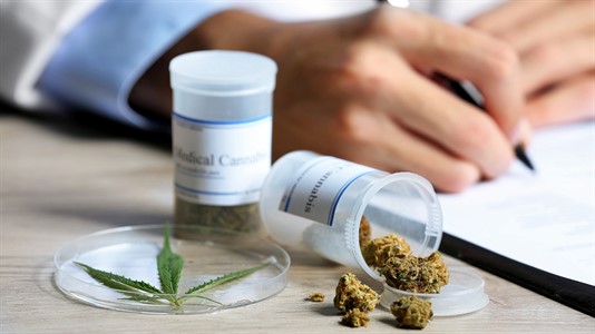 Se reconoce el derecho de los pacientes a no ser criminalizados por el uso del cannabis medicinal. Se reconoce el derecho de los pacientes a no ser criminalizados por el uso del cannabis medicinal.