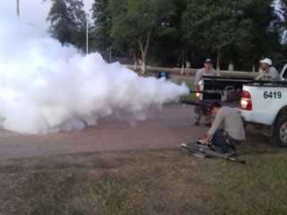 Realizan fumigaciones para eliminar criaderos de mosquitos.