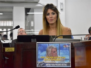 La diputada García Amud durante la sesión de la semana pasada.