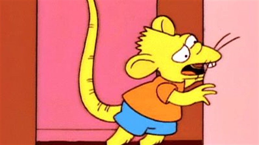 Esta foto de Bart Simpsons convertido en rata, circuló por las redes junto a la leyenda: "Mientras tanto en el Impulso...".