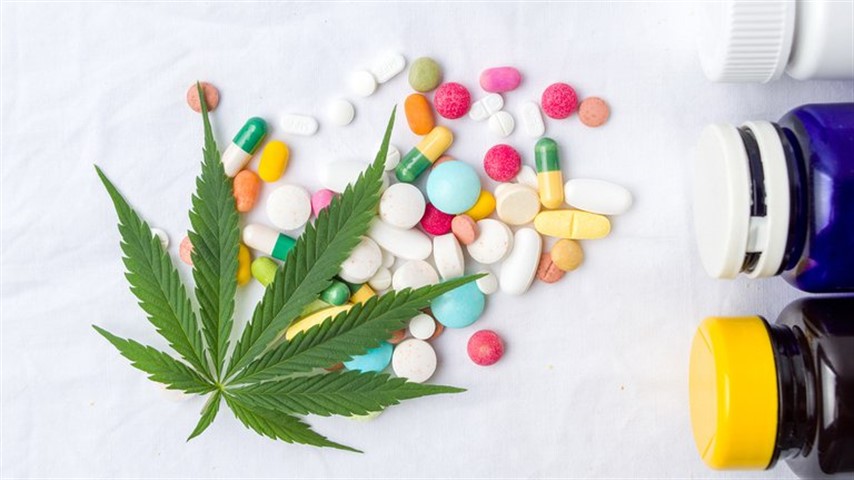 La Administración Nacional de Medicamentos, Alimentos y Tecnología Médica (ANMAT) anunció la aprobación del primer producto de cannabis que estará en el mercado (Shutterstock.com).