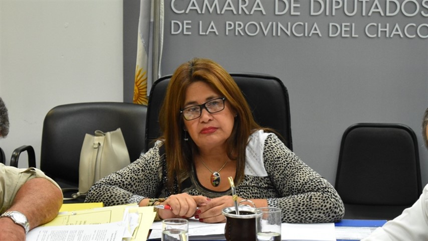 La diputada Gladis Cristaldo logró que toda la Legislatura vote a favor de pedir que investiguen a Sampayo. 