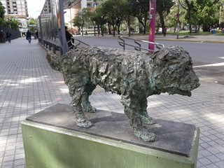 El perro Fernando fue uno de los personajes emblemáticos de nuestra ciudad.