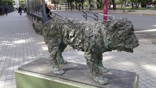 El perro Fernando fue uno de los personajes emblemáticos de nuestra ciudad.