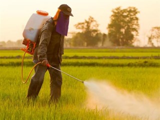 El tipo de herbicida que se aplica de manera masiva puede desencadenar patologías a largo plazo.